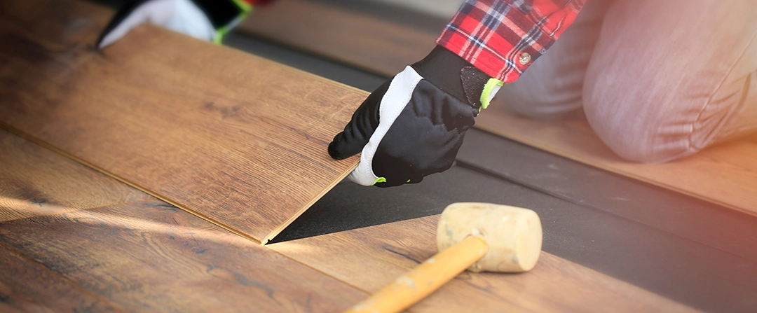 Eliminating And Preventing Mold