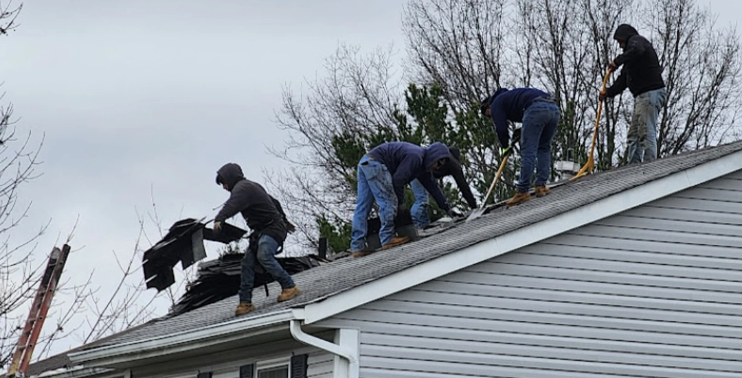 Ed Elfrink's Five-Star Testimonial