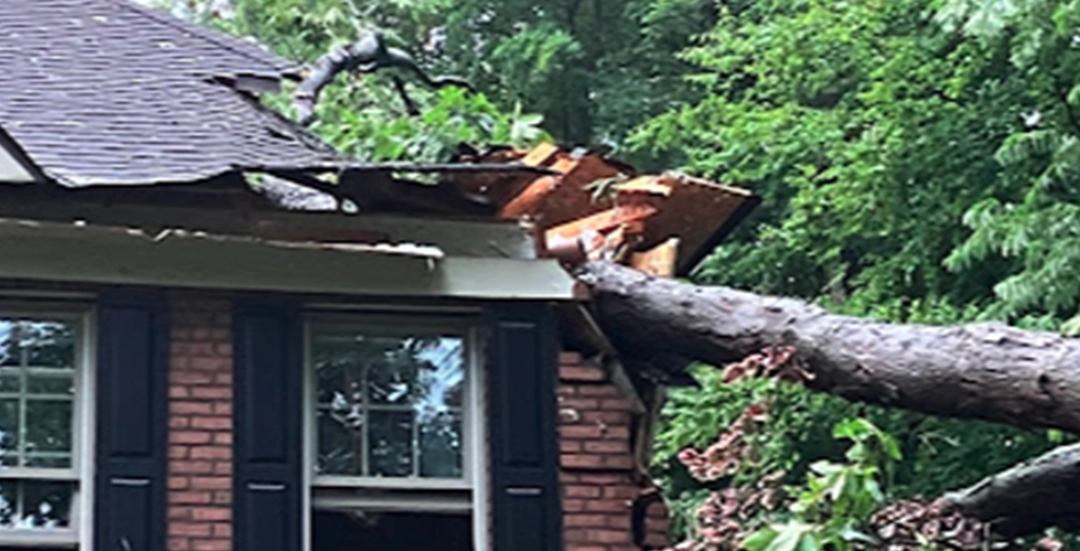 Rick Wilkes' Five-Star Testimonial