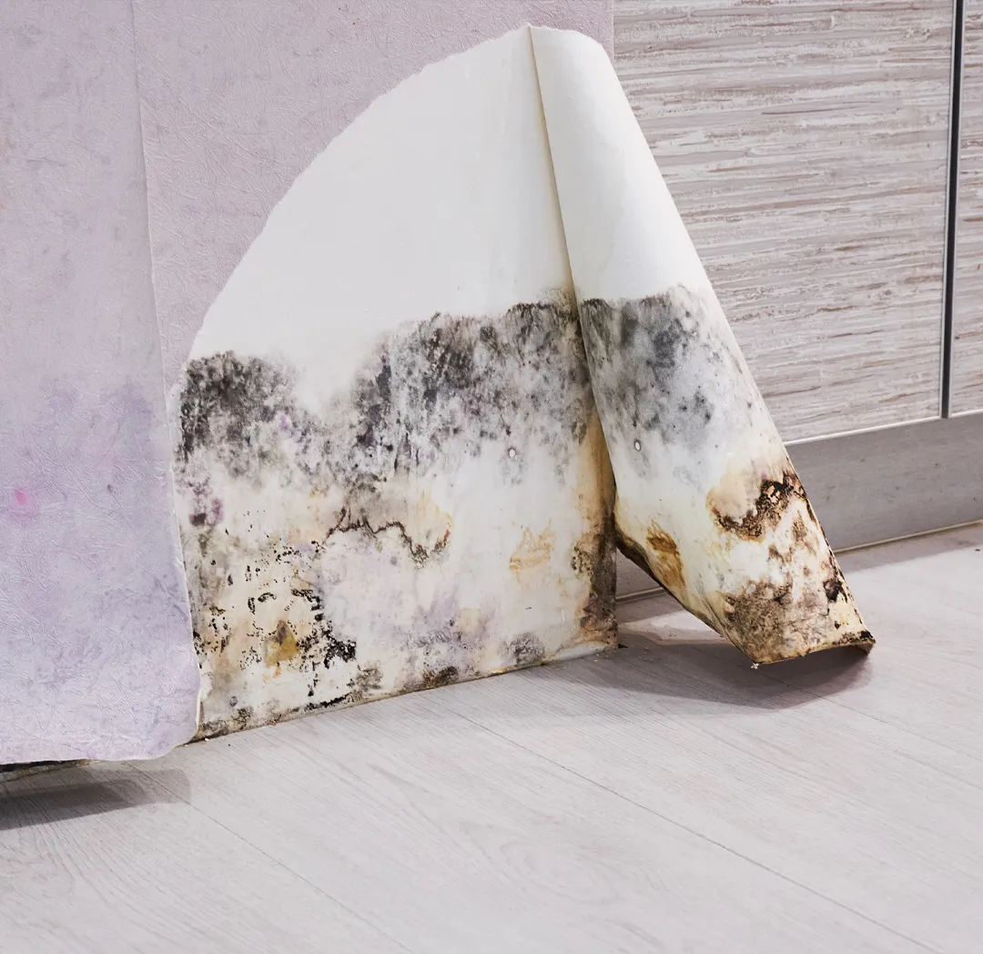 Mold Remediation Columbus Ohio