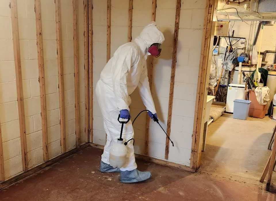 Our Mold Remediation Process