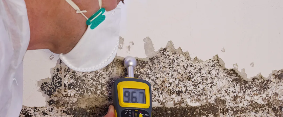 Mold Inspection and Remediation