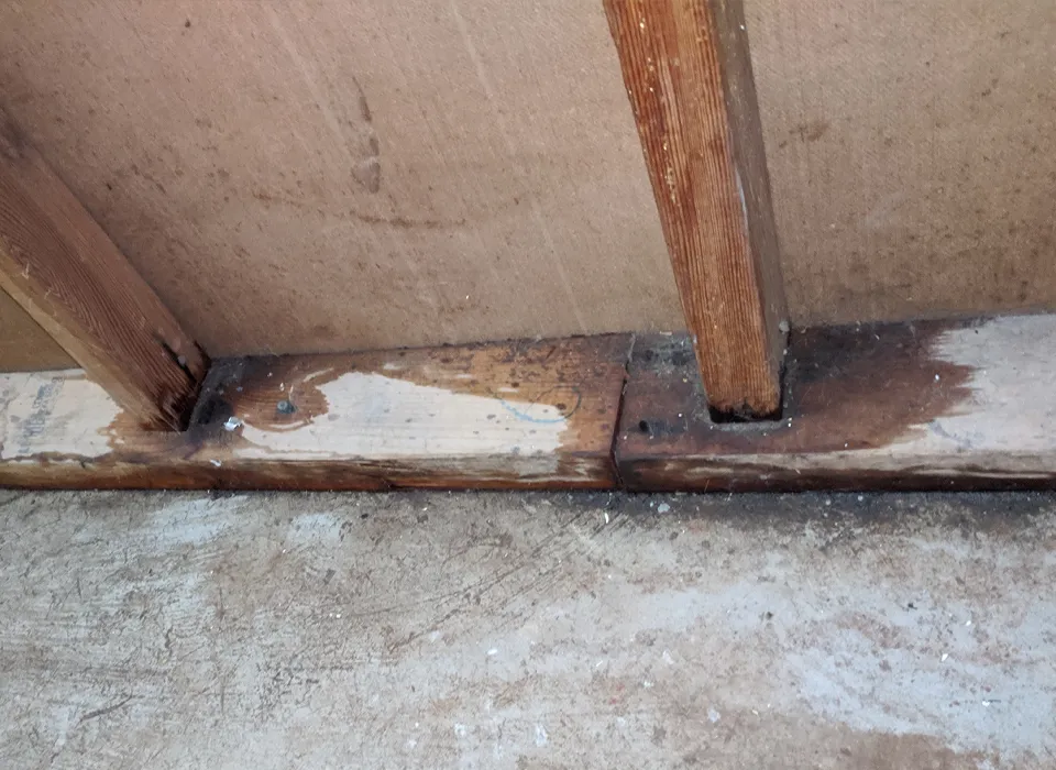 Our Emergency Sewage Cleanup Process