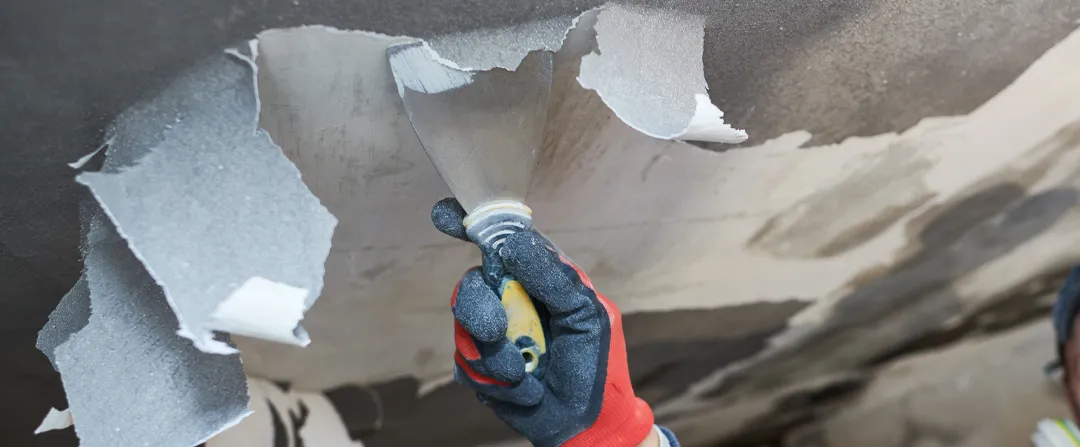 Will my insurance cover smoke removal?