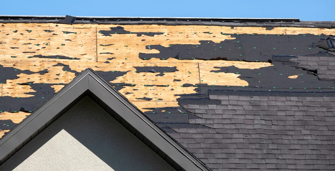 Marcelia Pheister Five Star Testimonial