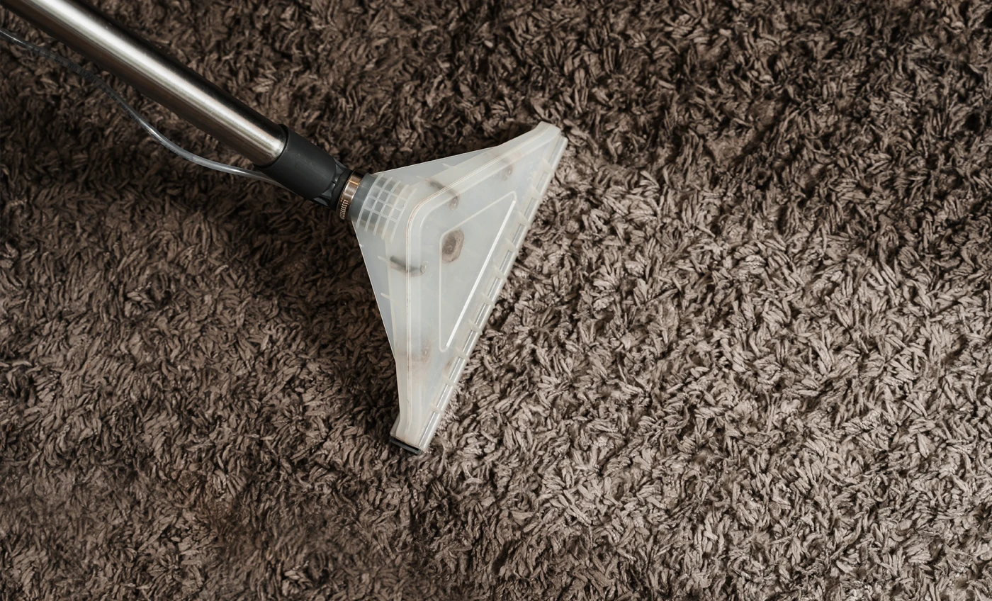 How Long After a Flood Can Carpet Be Saved?
