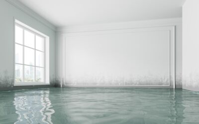 Can Emergency Restoration Prevent Long-Term Property Loss?