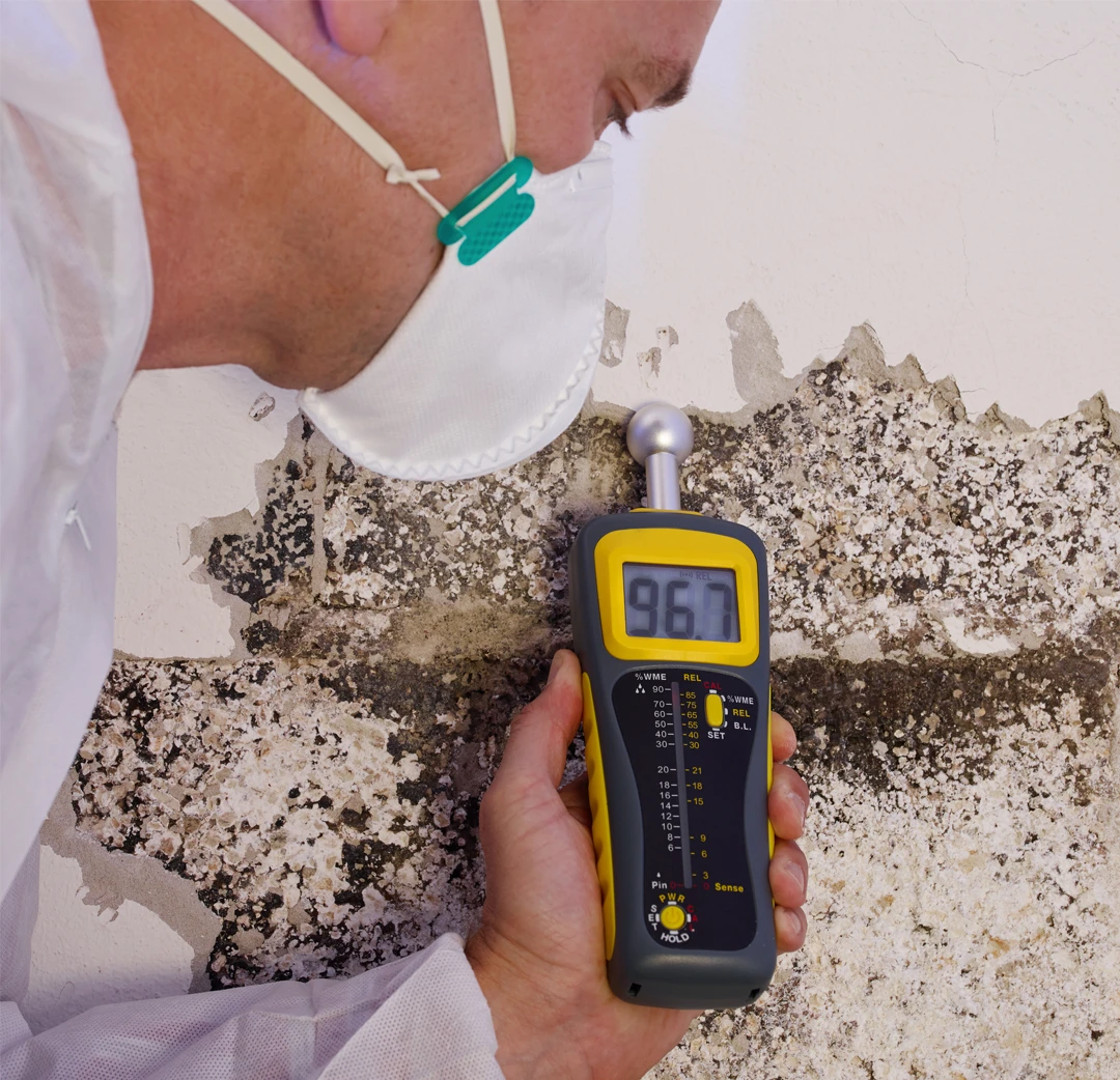 Contamination Assessment And Damage Inspection