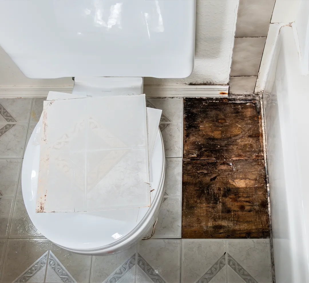 Water Damage & Why Professional Water Mitigation Matters