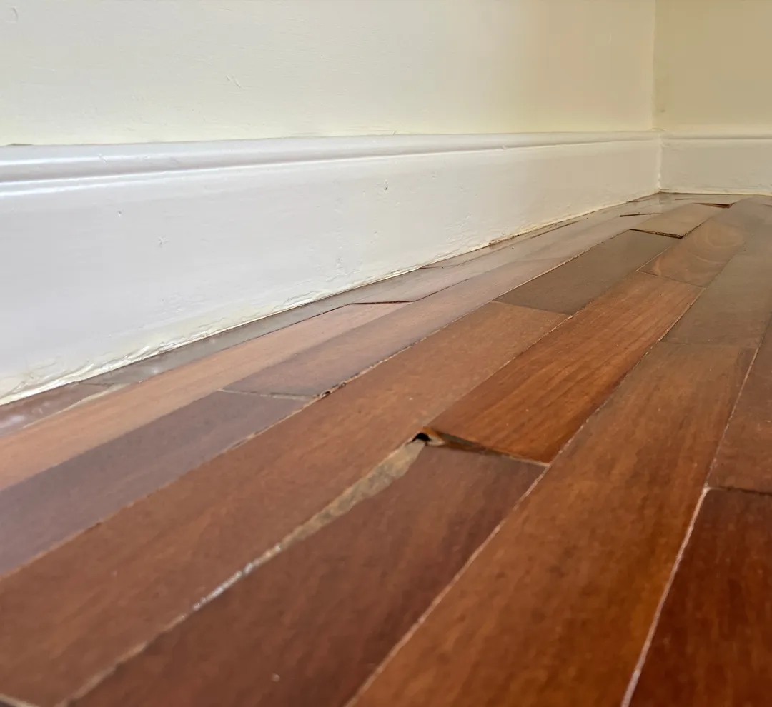 Water Damage Claims & Working with Insurance