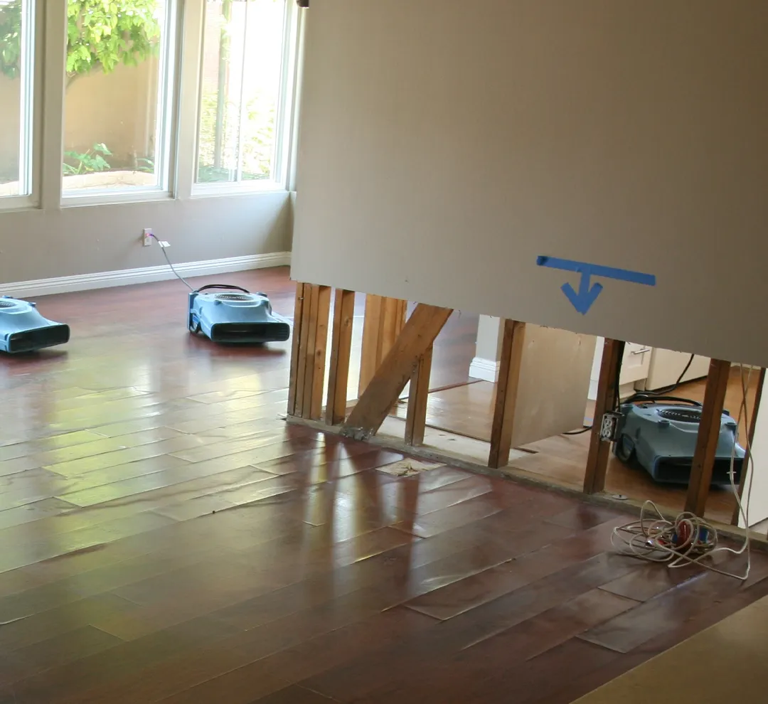 Fast and Effective Water Removal Service to Minimize Home Damage