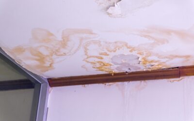 What Should You Do Immediately After Water Damage Occurs