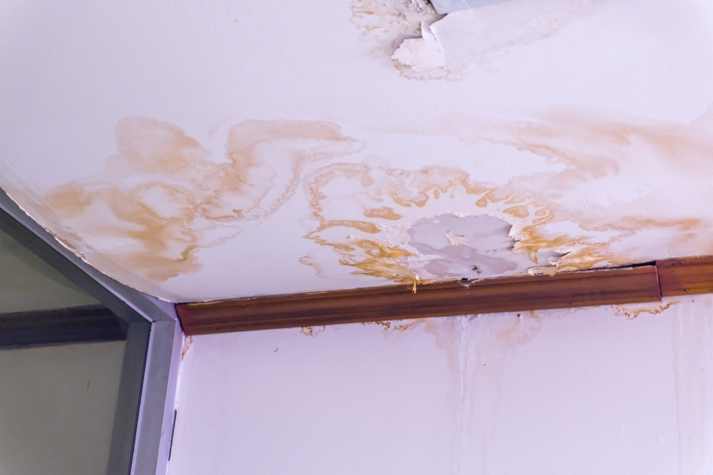 What Should You Do Immediately After Water Damage Occurs