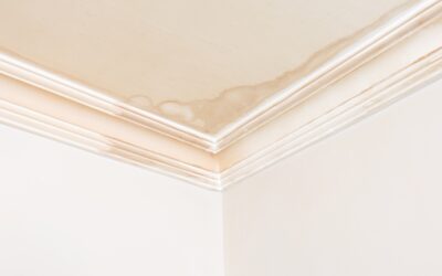 What Are the Signs of Hidden Water Damage in a Home?