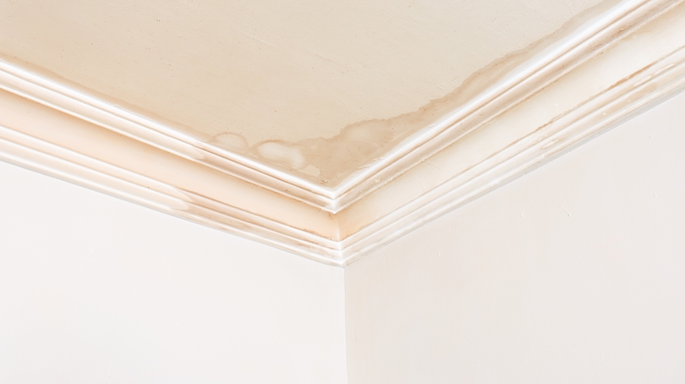 What Are the Signs of Hidden Water Damage in a Home?